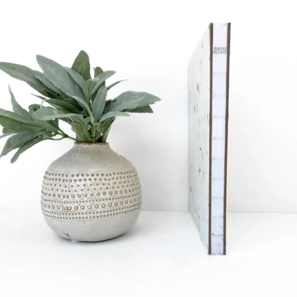 4ac77446c8a5febc27b1c3d2741fbad823e208d16d7db284c0e20e34dee7c8b3 Petal Seed Paper Notebook | Dot Grid and Lined
